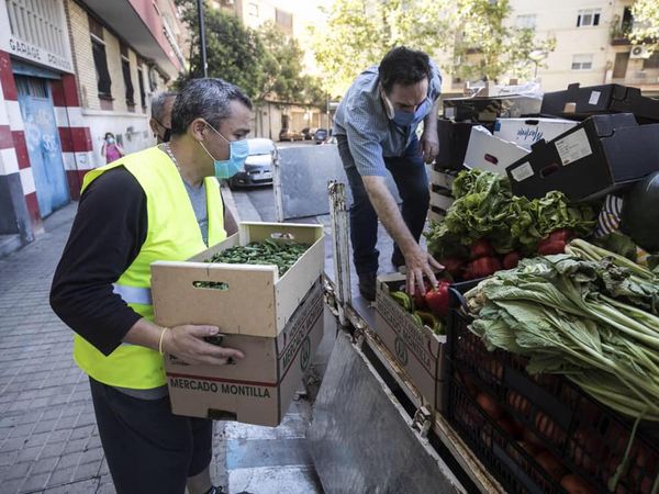 RESUMEN SEMANAL ALIMENTOS CIVITAS/FACU